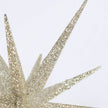Champagne Star Ornament Lg