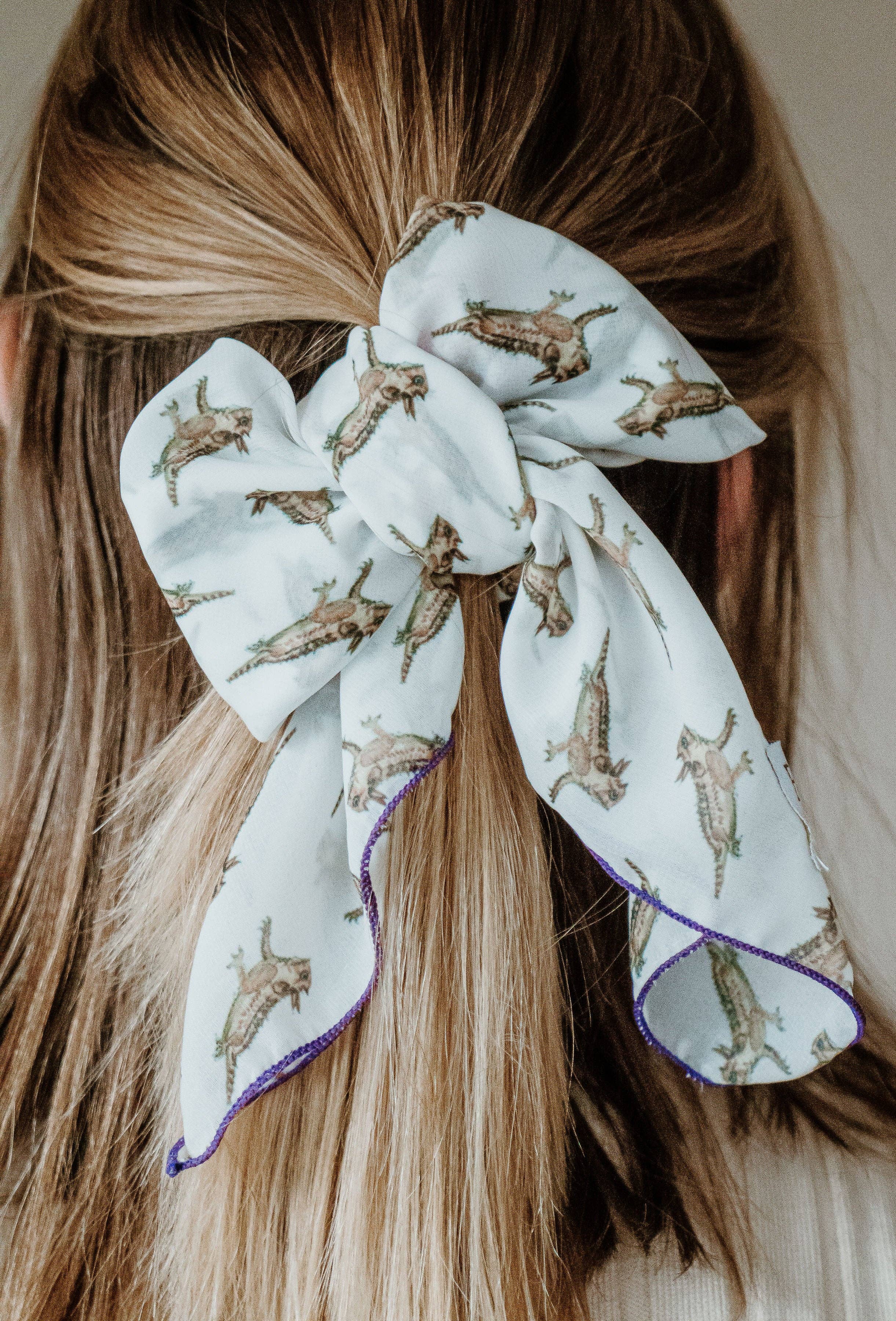 Horned Frogs Chiffon Scarf | 20
