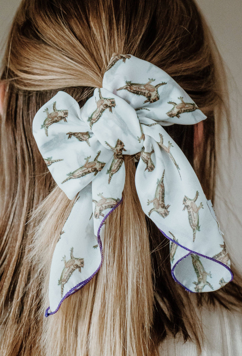 Horned Frogs Chiffon Scarf | 20