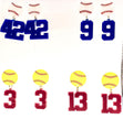 Custom Number Spirit Earrings