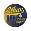 Custom Player Button